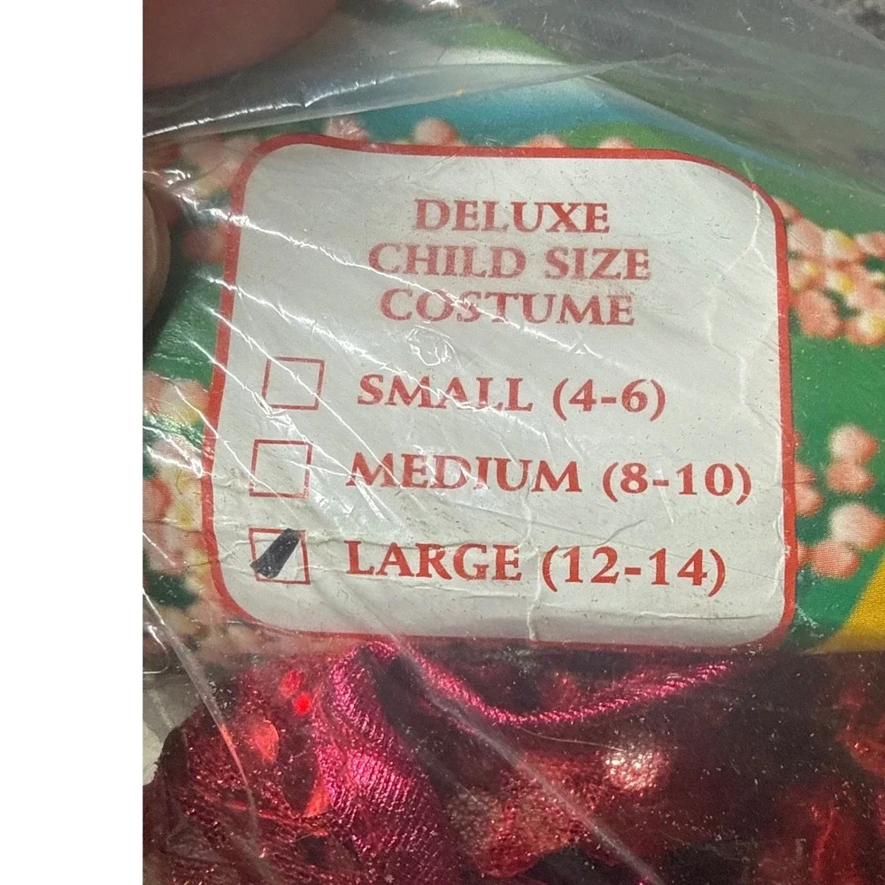 Rubies Wizard of Oz Dorothy Costume Girls Large 12-14 Gingham Dress 1996 10655